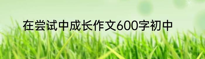 在尝试中成长作文600字初中