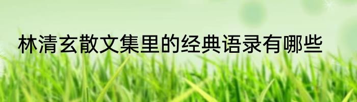 林清玄散文集里的经典语录有哪些