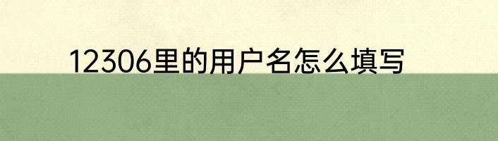 12306里的用户名怎么填写