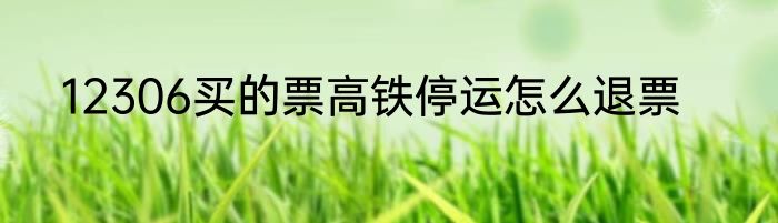 12306买的票高铁停运怎么退票