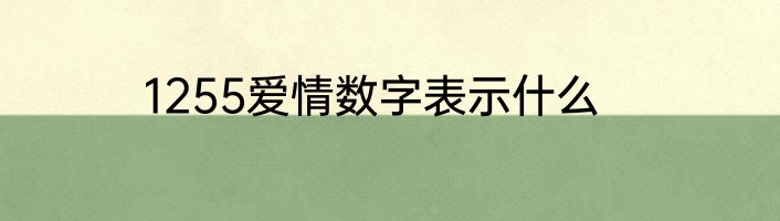 1255爱情数字表示什么