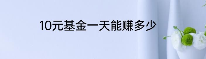 10元基金一天能赚多少