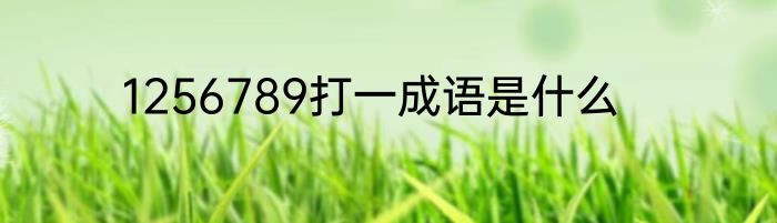 1256789打一成语是什么