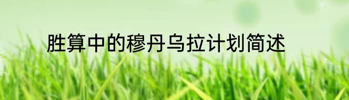 胜算中的穆丹乌拉计划简述