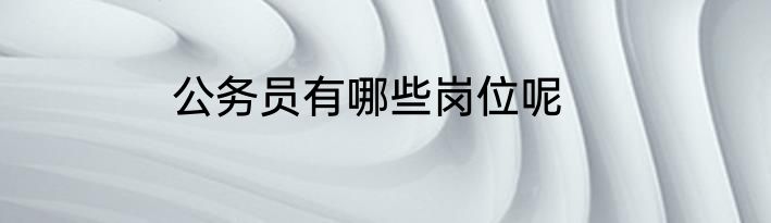 公务员有哪些岗位呢
