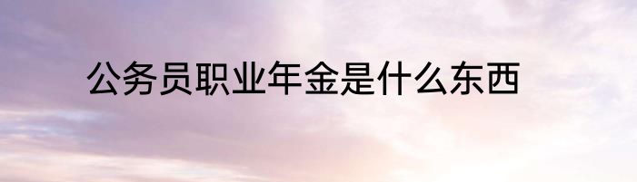 公务员职业年金是什么东西