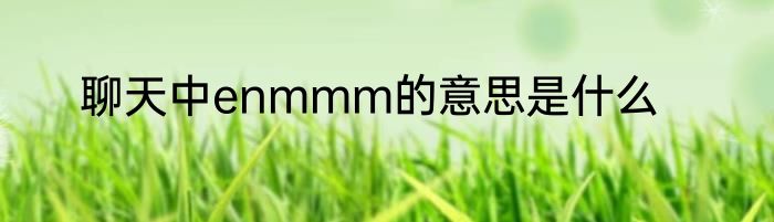 聊天中enmmm的意思是什么