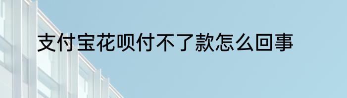 支付宝花呗付不了款怎么回事