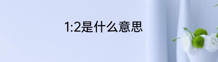 1:2是什么意思