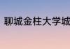 聊城金柱大学城和金柱康城哪比较好