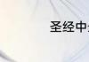 圣经中最唯美的句子