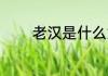 老汉是什么意思 老汉的含义