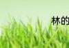 林的主要组词