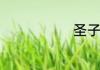 圣子王怎么吃