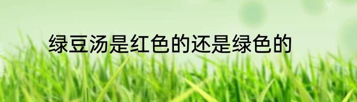 绿豆汤是红色的还是绿色的