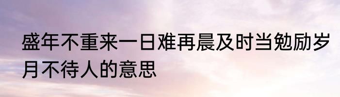 盛年不重来一日难再晨及时当勉励岁月不待人的意思