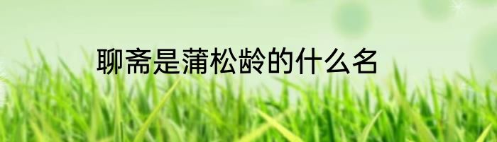 聊斋是蒲松龄的什么名