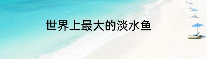 世界上最大的淡水鱼