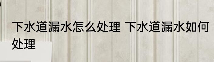 下水道漏水怎么处理 下水道漏水如何处理