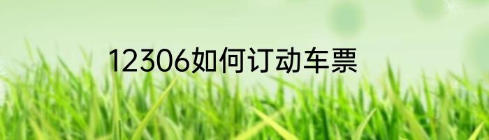12306如何订动车票