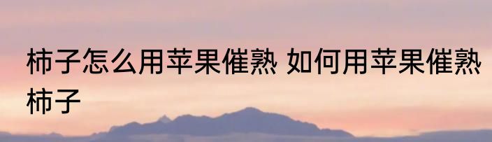 柿子怎么用苹果催熟 如何用苹果催熟柿子