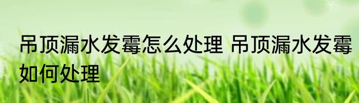 吊顶漏水发霉怎么处理 吊顶漏水发霉如何处理