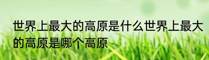 世界上最大的高原是什么世界上最大的高原是哪个高原