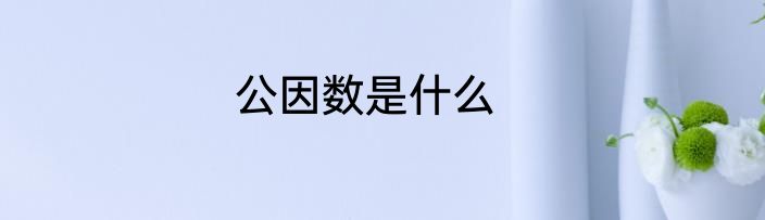 公因数是什么