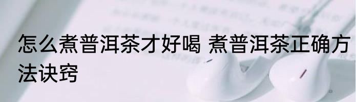 怎么煮普洱茶才好喝 煮普洱茶正确方法诀窍