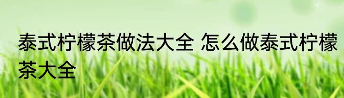 泰式柠檬茶做法大全 怎么做泰式柠檬茶大全