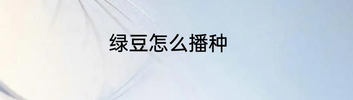 绿豆怎么播种
