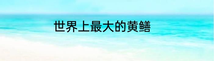 世界上最大的黄鳝