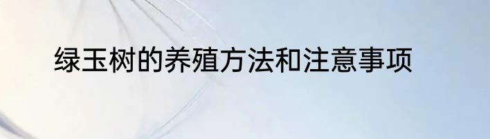 绿玉树的养殖方法和注意事项