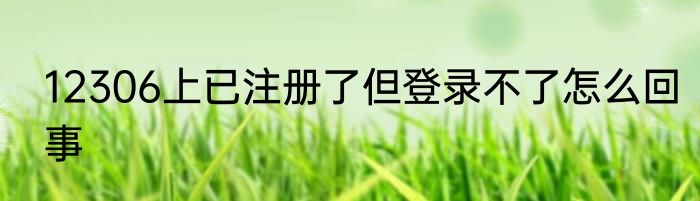 12306上已注册了但登录不了怎么回事