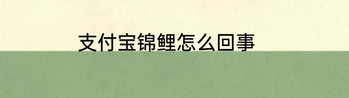 支付宝锦鲤怎么回事