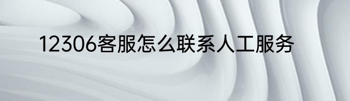 12306客服怎么联系人工服务