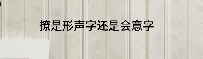 撩是形声字还是会意字