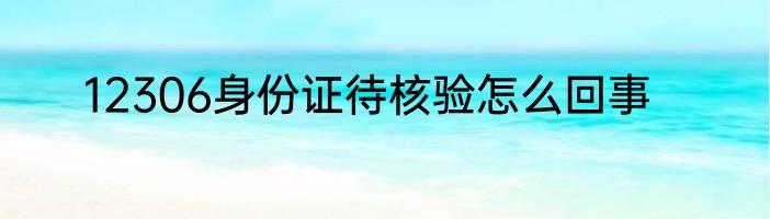 12306身份证待核验怎么回事