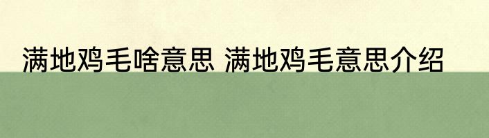 满地鸡毛啥意思 满地鸡毛意思介绍