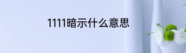 1111暗示什么意思