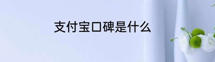 支付宝口碑是什么