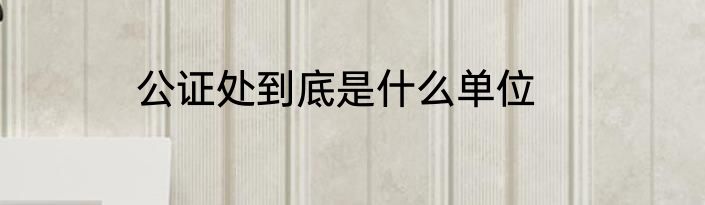 公证处到底是什么单位
