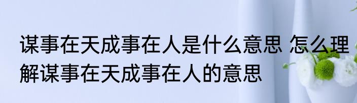 谋事在天成事在人是什么意思 怎么理解谋事在天成事在人的意思