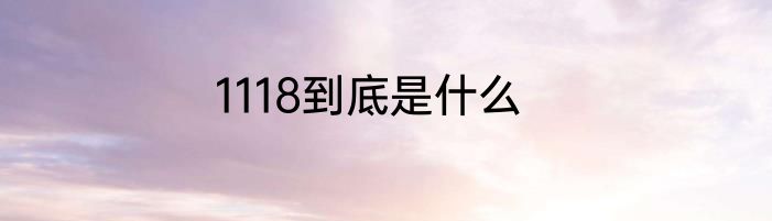 1118到底是什么