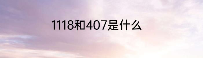 1118和407是什么
