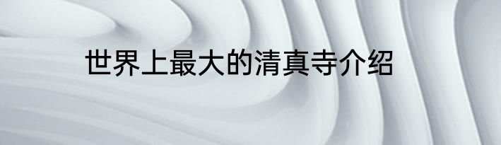 世界上最大的清真寺介绍