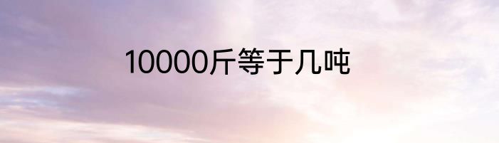 10000斤等于几吨