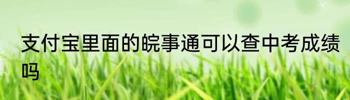 支付宝里面的皖事通可以查中考成绩吗