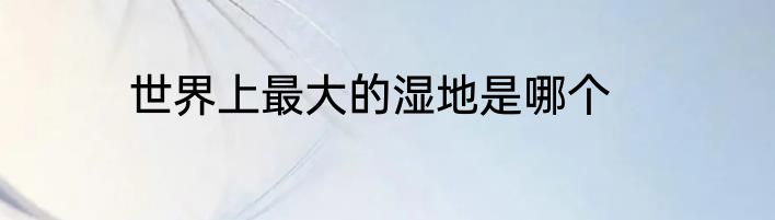 世界上最大的湿地是哪个