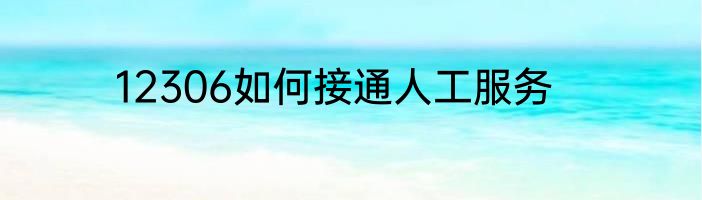 12306如何接通人工服务